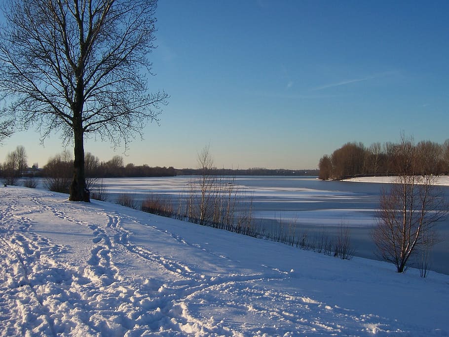 winter, snow, footprints, white, cold, lake, wintry, landscape HD wallpaper