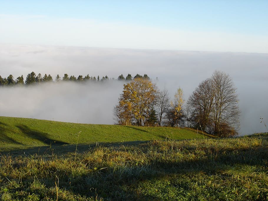 fog, mountains, summit, sky, sea of fog, ridge, plant, tranquil scene HD wallpaper