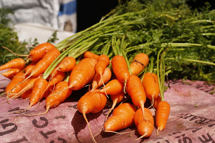 carrots on red sack, vegetable, outdoor, food and drink, freshness HD wallpaper