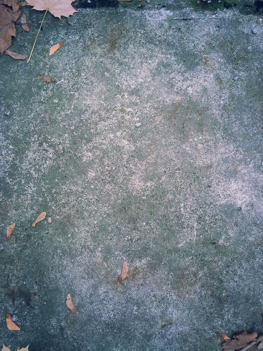stone, ground, grunge, background, texture, grey, autumn, street HD wallpaper