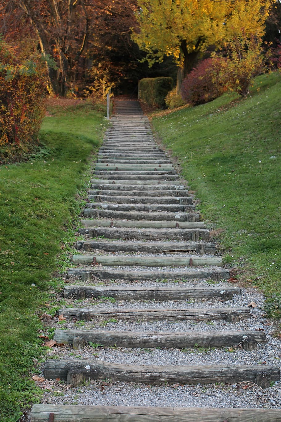 Away, Stairs, Staircase, gradually, upward, forest, autumn HD wallpaper