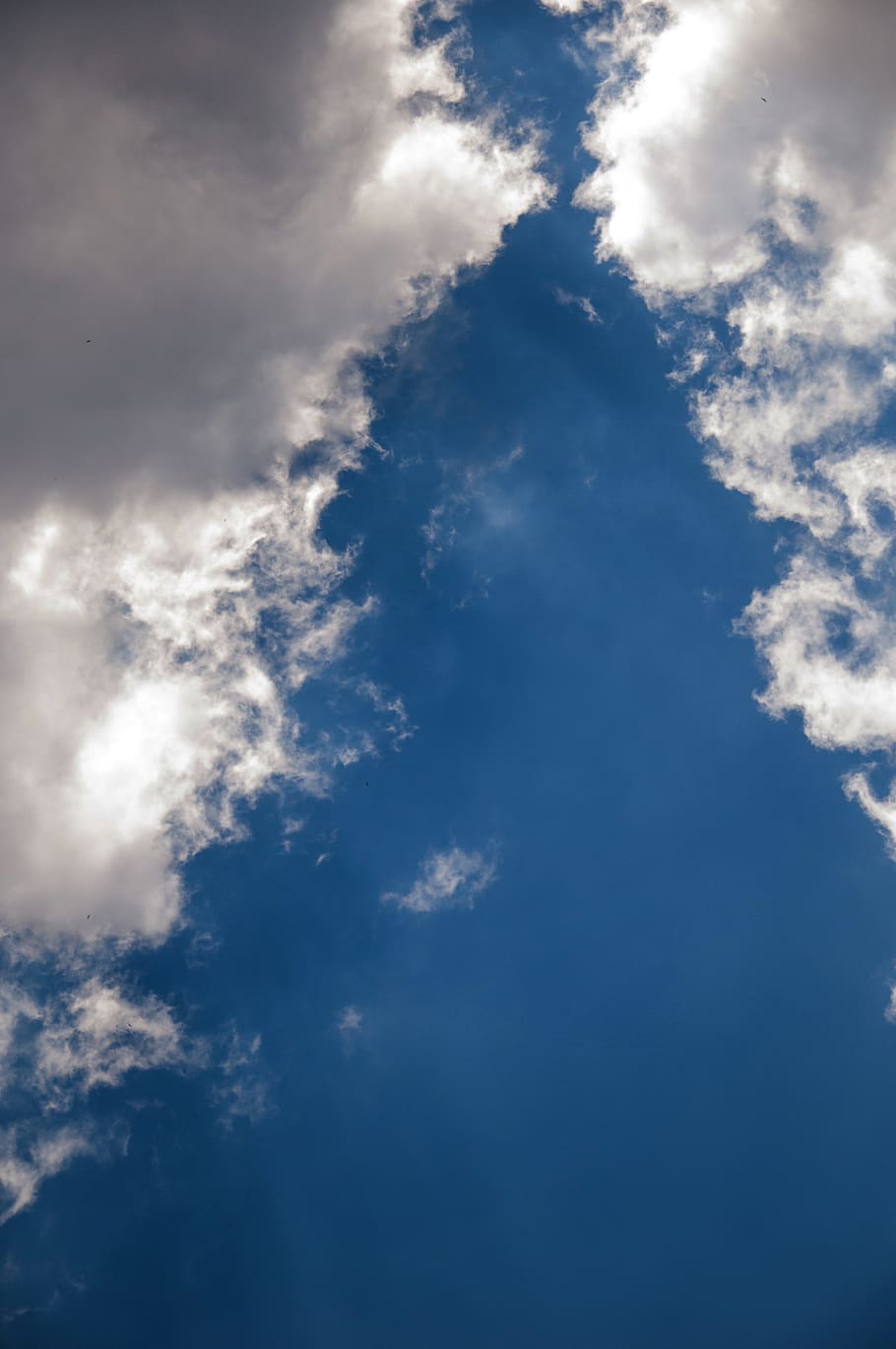 cloud, air, sky, blue, nature, landscape, white, great, it's in the air HD wallpaper