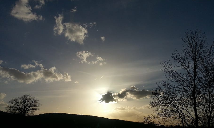 sunset, evening, evening sky, landscape, tree, cloud - sky HD wallpaper