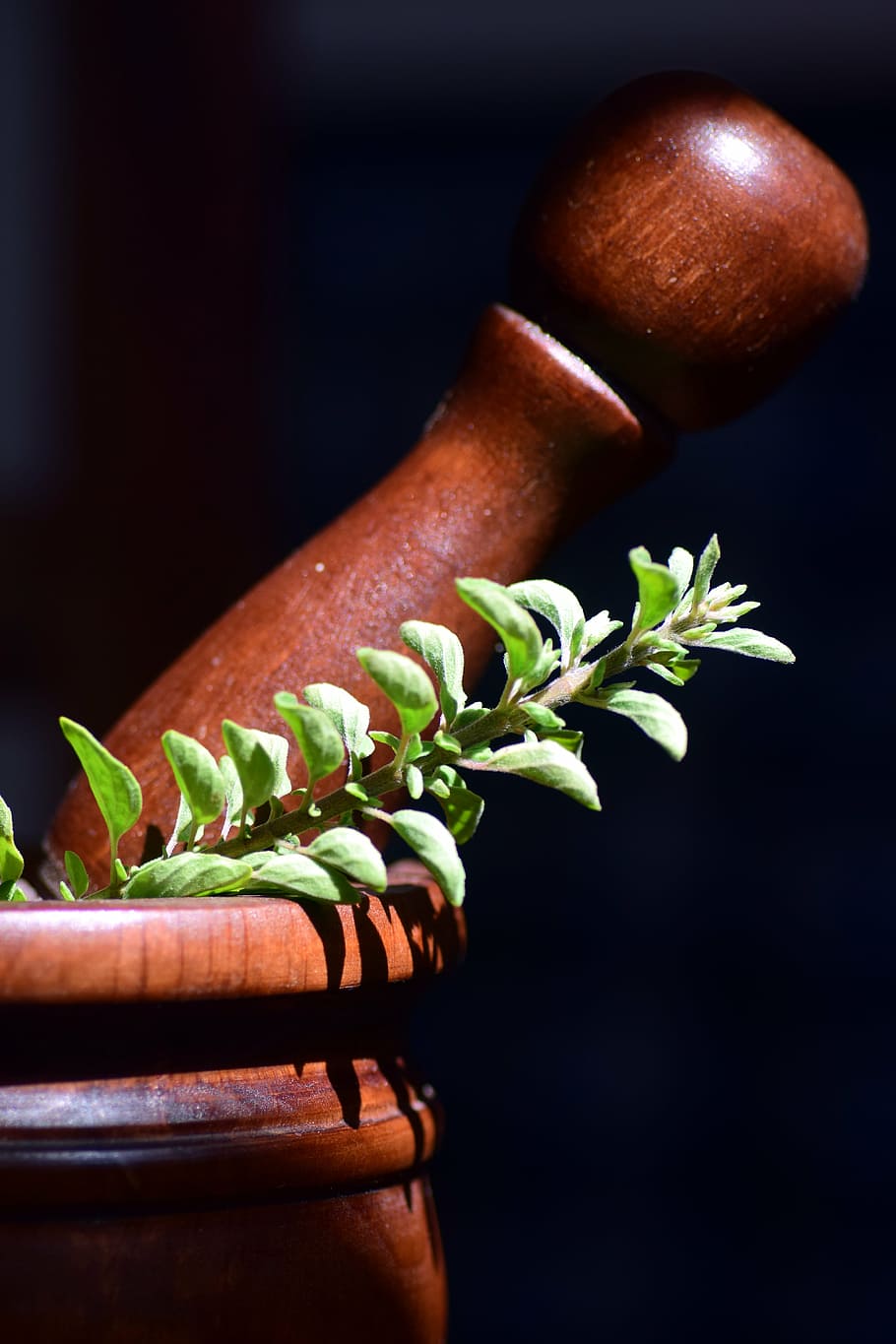 green leaves on brown wooden mortar and pestle, jack, turned, HD wallpaper