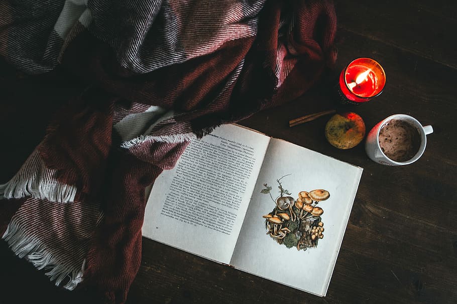 red textile near book on table, white open book near white ceramic mug and tealight candle HD wallpaper