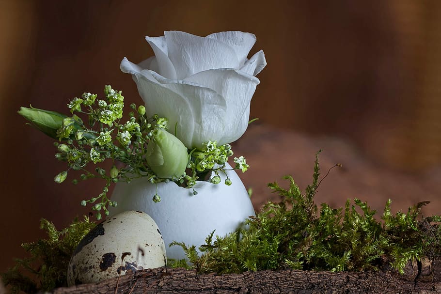 red petaled flower decor on egg, easter, plant, flowering plant HD wallpaper