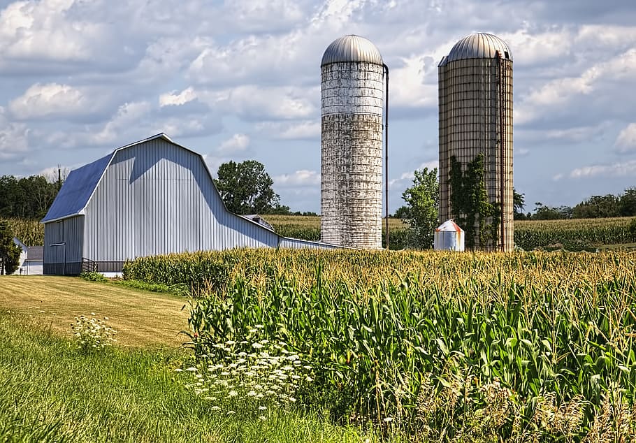 barn, rustic, barns, ohio, digital art, rural, scenic, country HD wallpaper