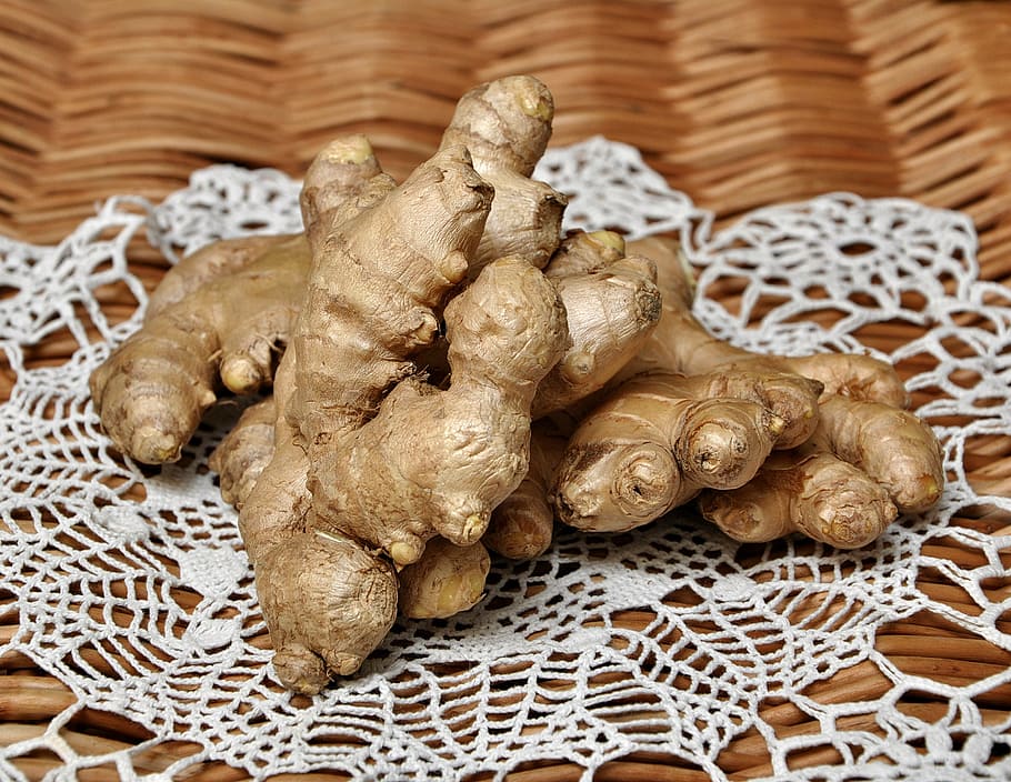 brown ginger on the white doily, lemon, holidays, christmas HD wallpaper