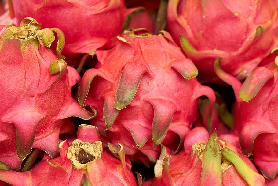 Fruit, Healthy, Fresh, Macro, red, beautiful, nature, fruit garden HD wallpaper