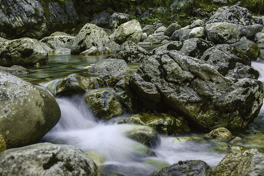 water, inject, forest, landscape, nature, river, beautiful HD wallpaper