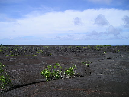 Lava, Rock, Samoa, Exotic, South Sea, nature, cloud - sky, no people HD wallpaper