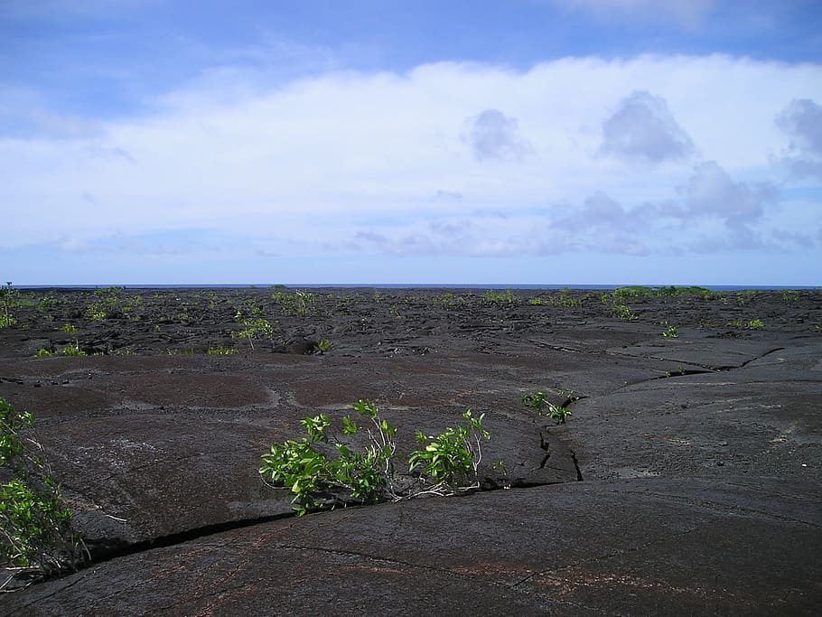 Lava, Rock, Samoa, Exotic, South Sea, nature, cloud - sky, no people HD wallpaper