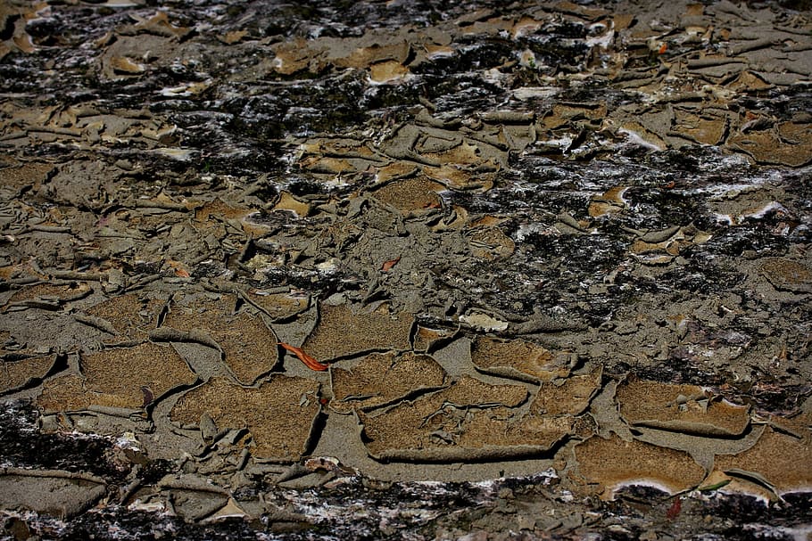 ground, arid, cracked, drought, environmental issues, high angle view HD wallpaper