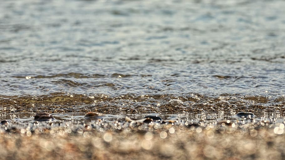 Sea, Beach, Wave, Stone, Pebbles, Light, natural, nature, animals in the wild HD wallpaper