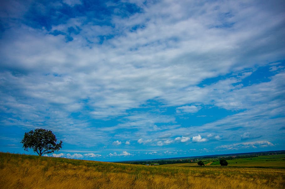 landscape, clouds, nature, forest, yenice, turkey, green, blue HD wallpaper