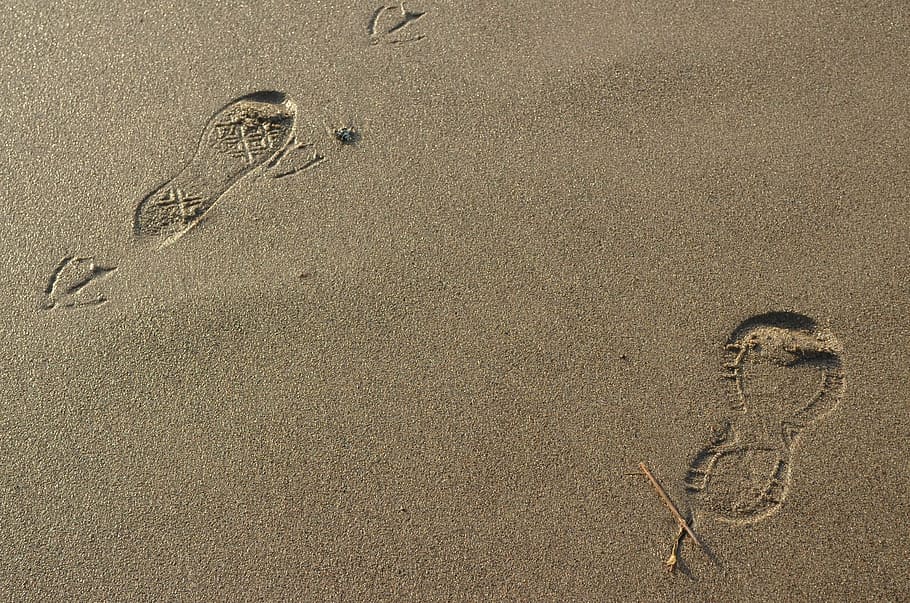 footsteps, footprint, sand, walk, barefoot, beach, coast, path HD wallpaper