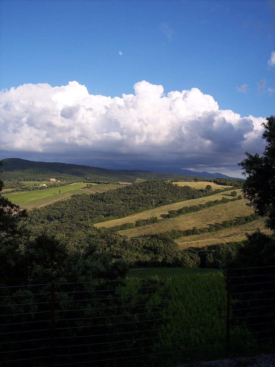 Sky, Campaign, Vineyard, Landscape, tuscany, cloud - sky, nature HD wallpaper