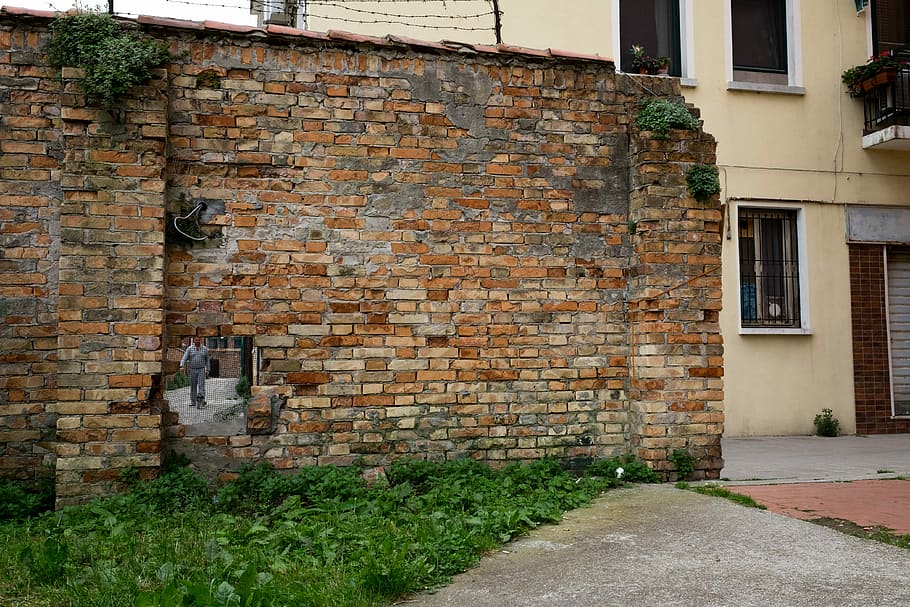 Wall, Hole, Dog, Man, Stone, building exterior, architecture HD wallpaper