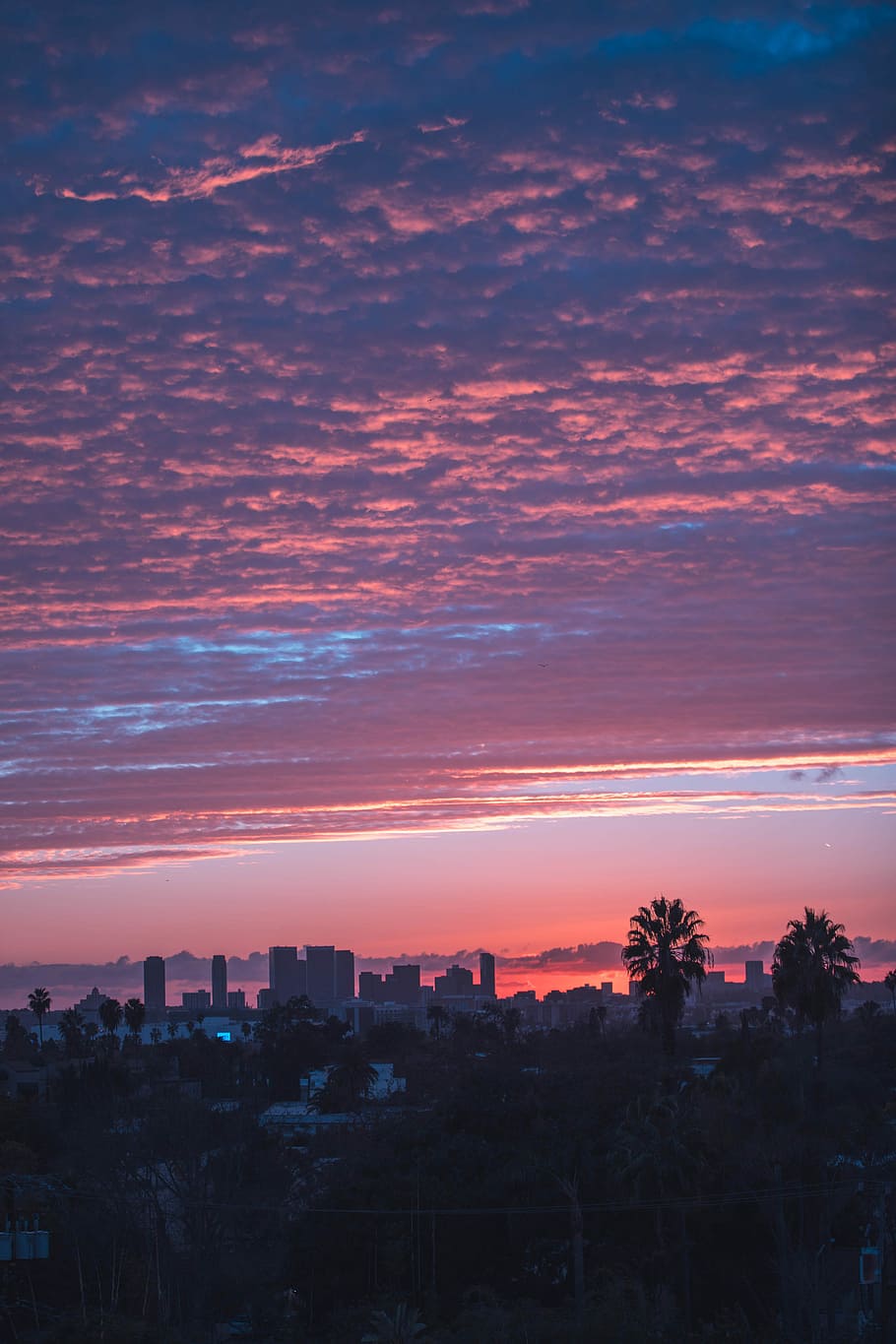 skyline photography of city, landscape photography of cityscape HD wallpaper