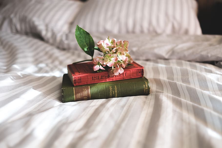 books, reading, bedroom, bed, leaf, plant part, selective focus HD wallpaper