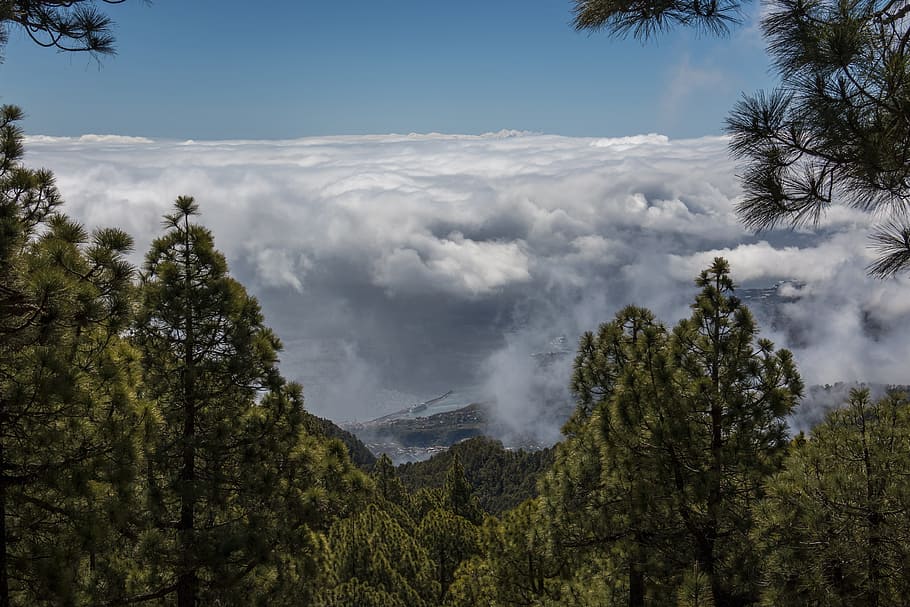 clouds, mountains, sky, landscape, forest, blue, nature, tree HD wallpaper