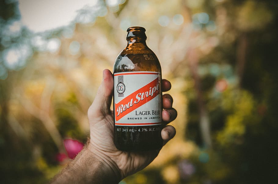 beverage, drink, beer, bottle, blur, bokeh, nature, outdoor HD wallpaper