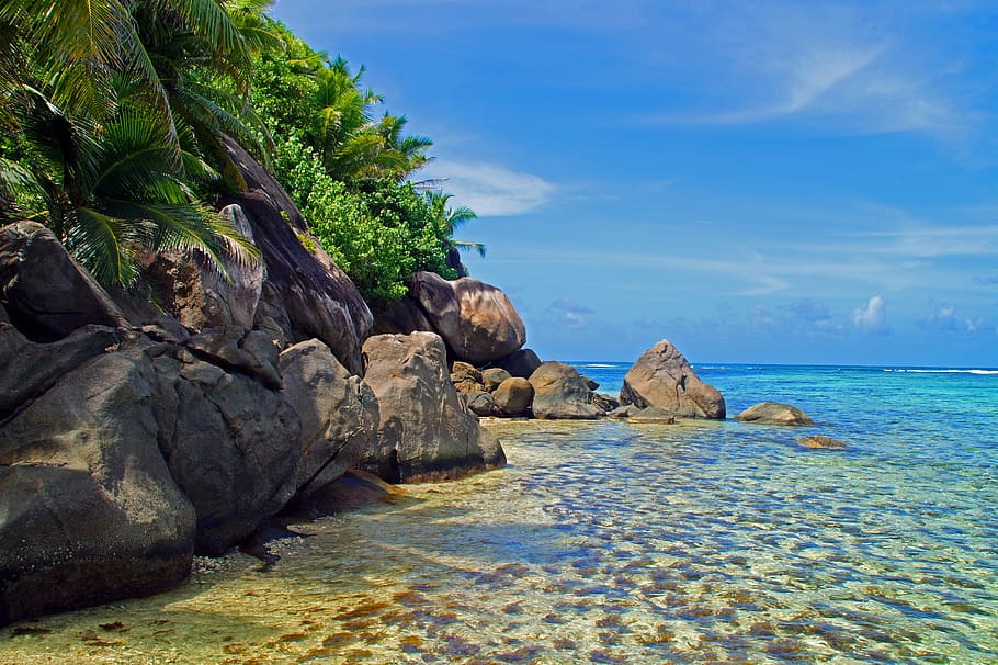 brown rocks beside ocean during daytime, beach, shore, sand HD wallpaper