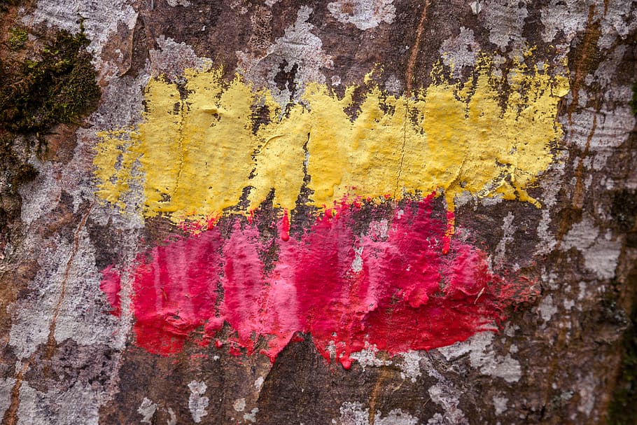 brown and white tree trunk with yellow and red paint, untitled HD wallpaper