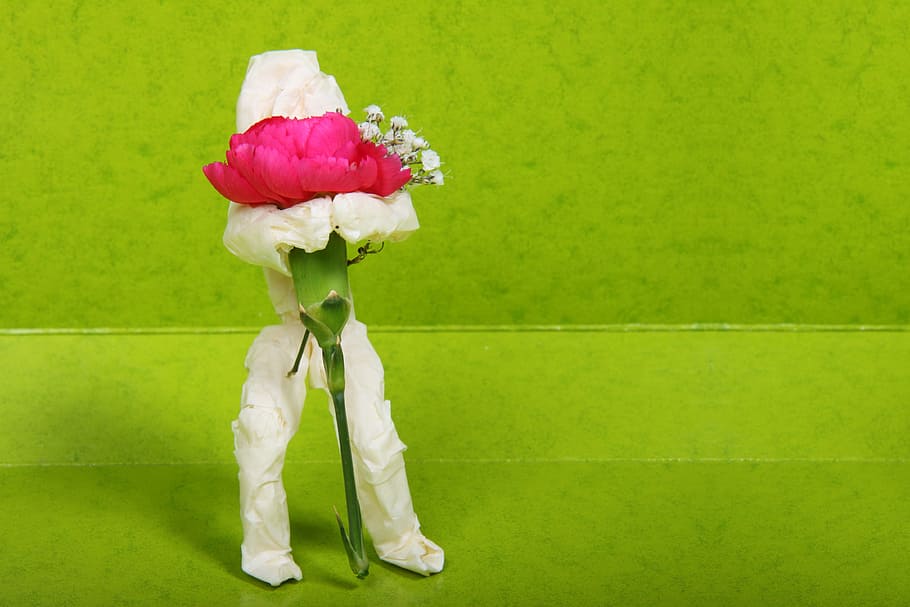 Beautiful, Care, Cute, Flower, flowers, green, hand, happy HD wallpaper
