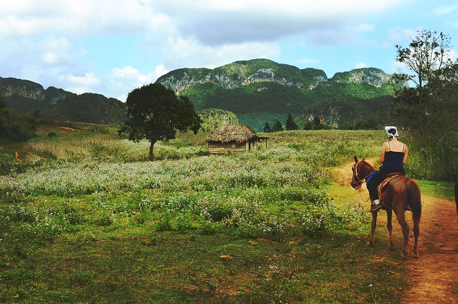 cottage, countryside, fields, horse, horse rider, landscape HD wallpaper