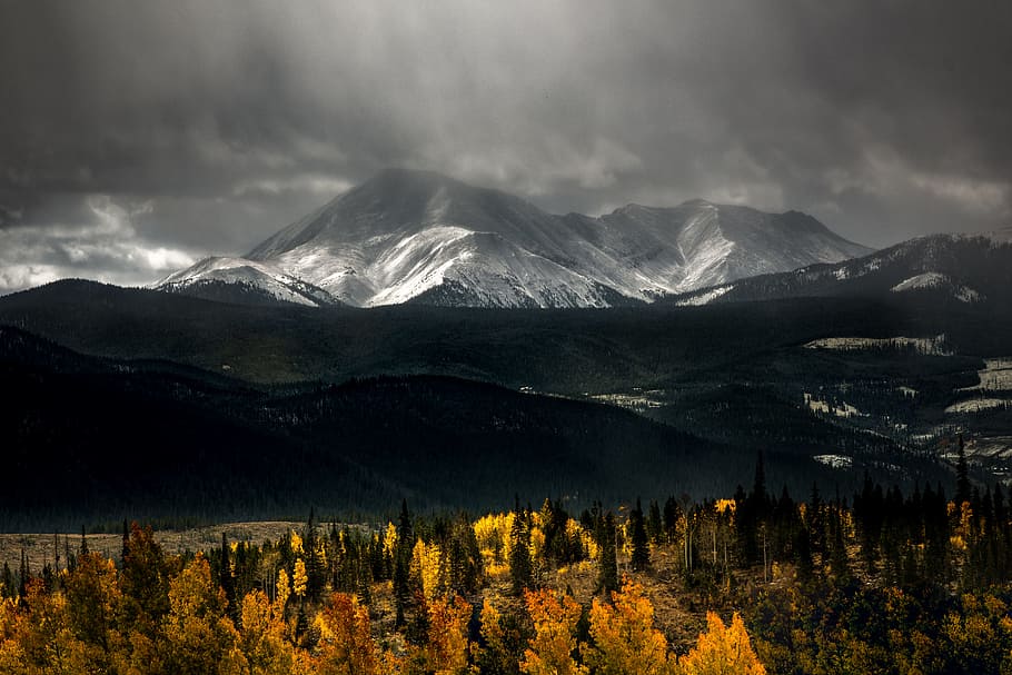 snow-covered mountains, green and yellow trees near ice capped mountain under cloudy sky
