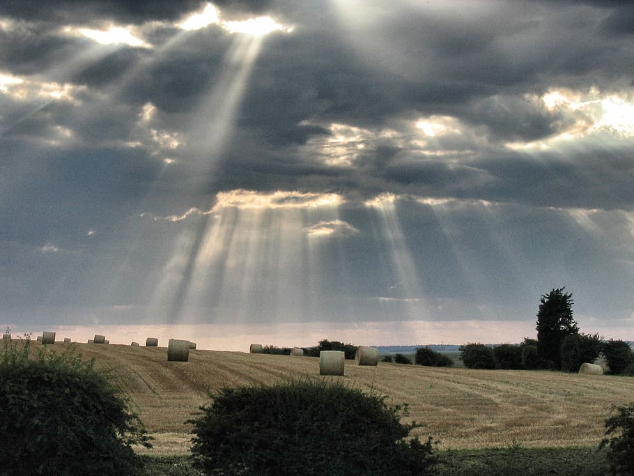 Clouds, Light, Shaft, Fields, Nature, sun, sunlight, weather HD wallpaper