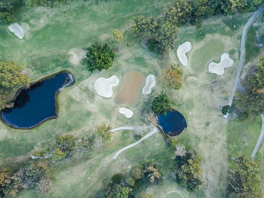 body of water surrounded with green trees painting, aerial view of grass field with ponds HD wallpaper