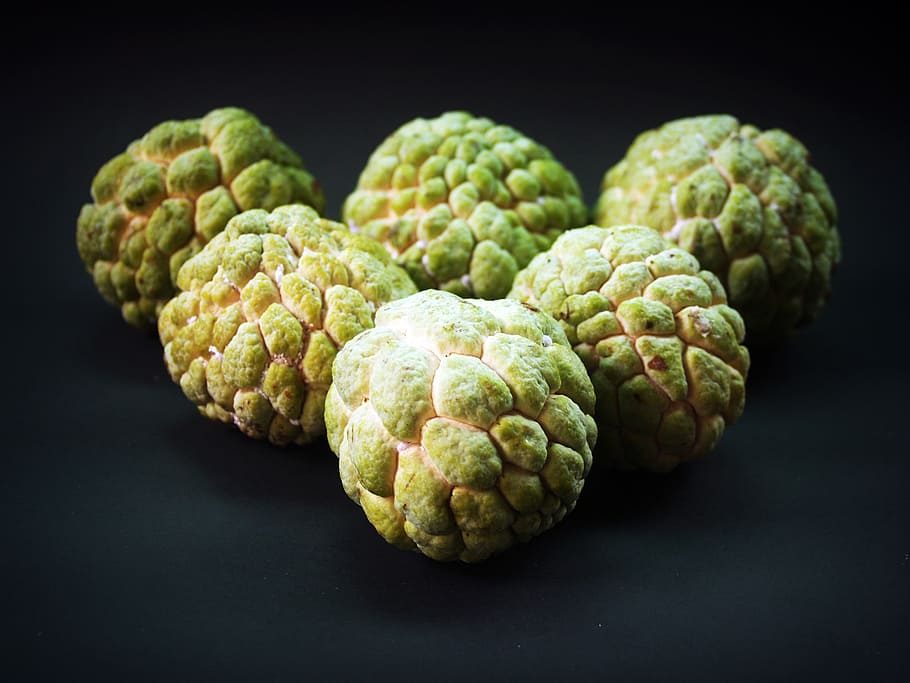 custard, leaves, tree, thailand, produce, ripe, sugar apple HD wallpaper