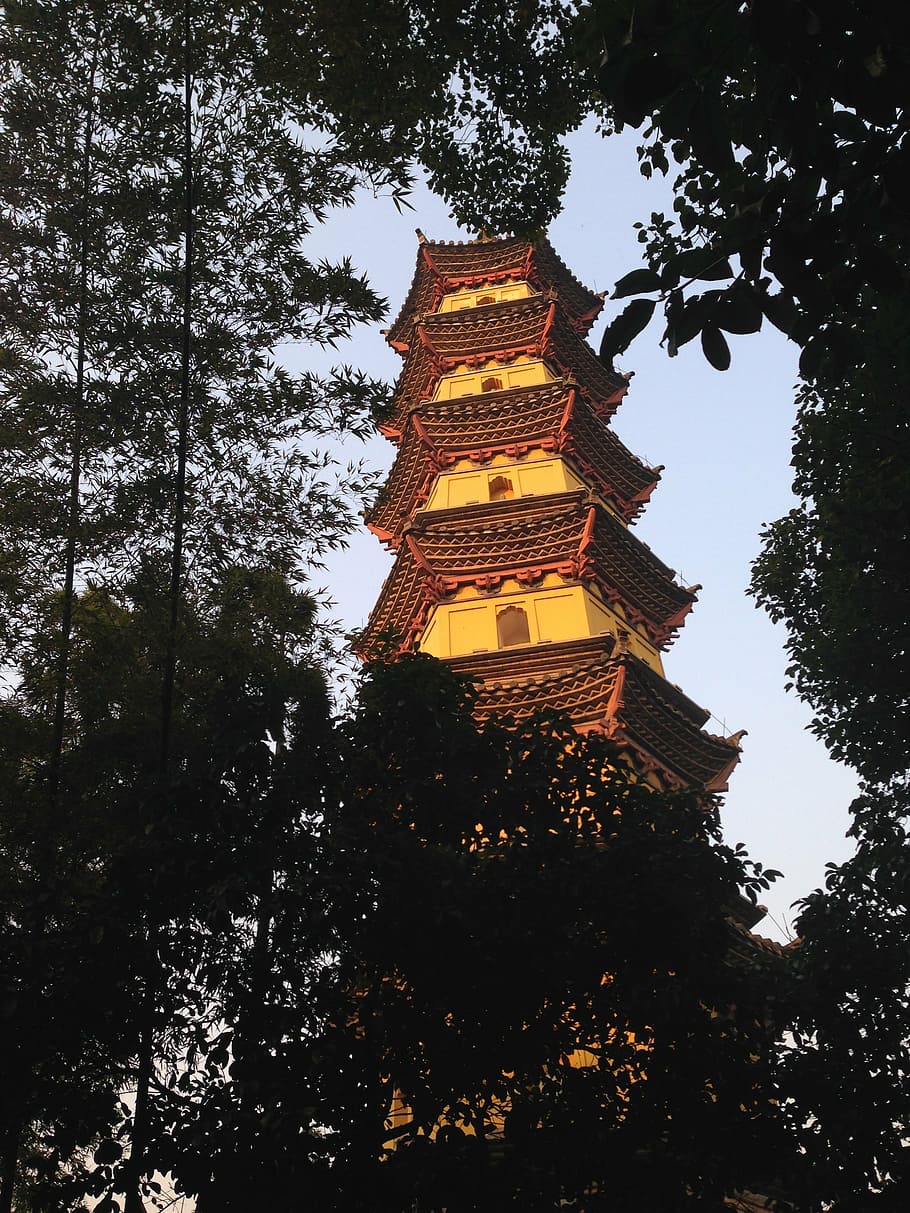 sunset, gold, tower, tree, belief, religion, spirituality, architecture HD wallpaper