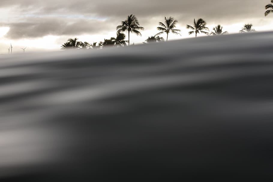 windmill, coconut, tree, plant, clouds, sky, water, waves, tropical climate HD wallpaper