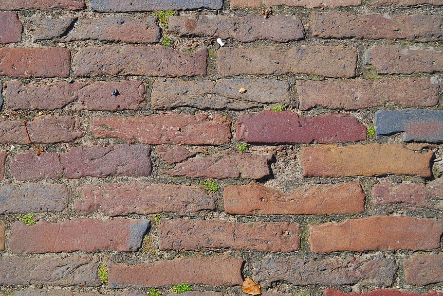 brick, wall, red, structure, bricks, brick wall, stone, bricked HD wallpaper