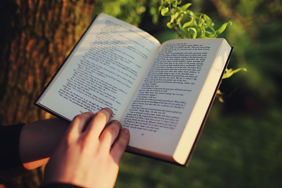 person holding book under the tree, read, reading, hand, hands HD wallpaper