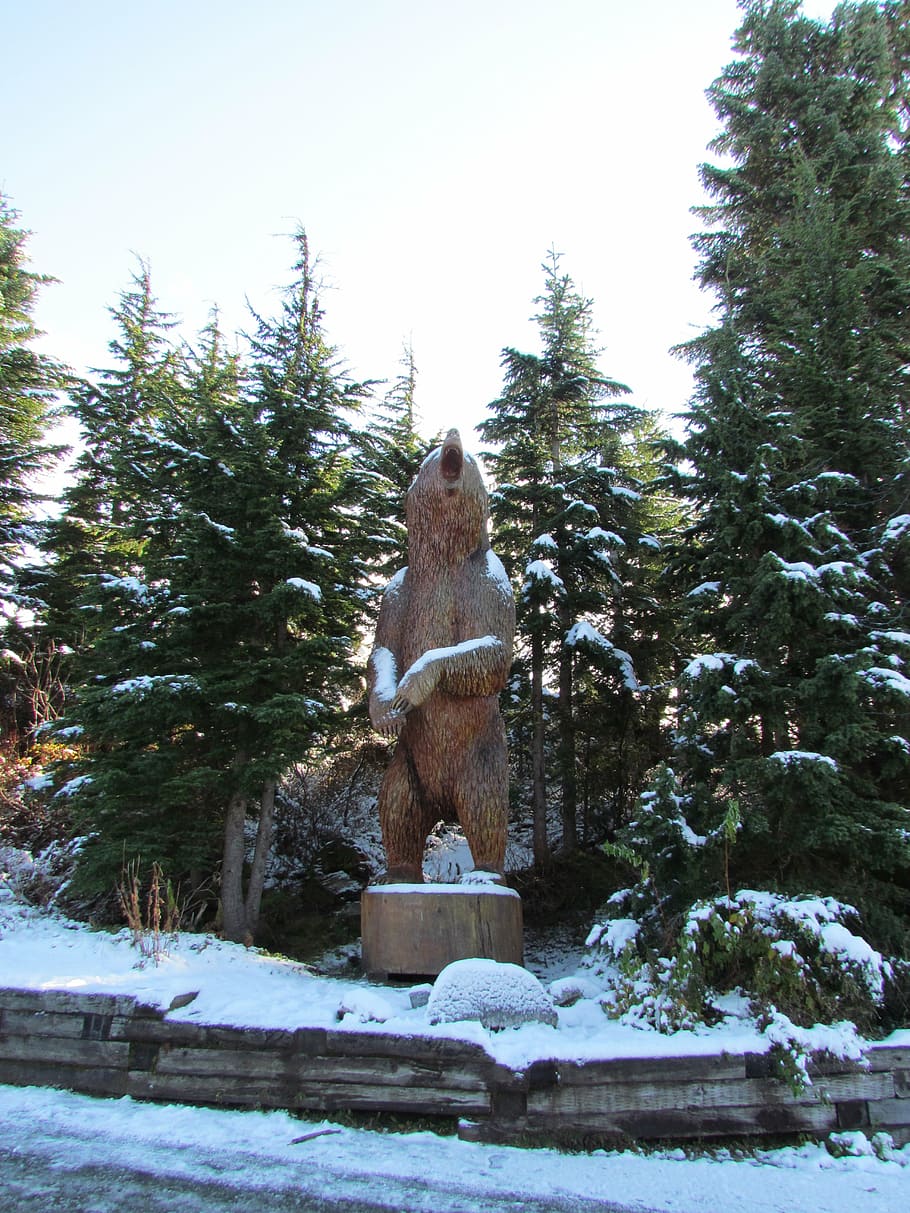 grouse mountain, canada, vancouver, snow, statue, carving, bear, HD wallpaper
