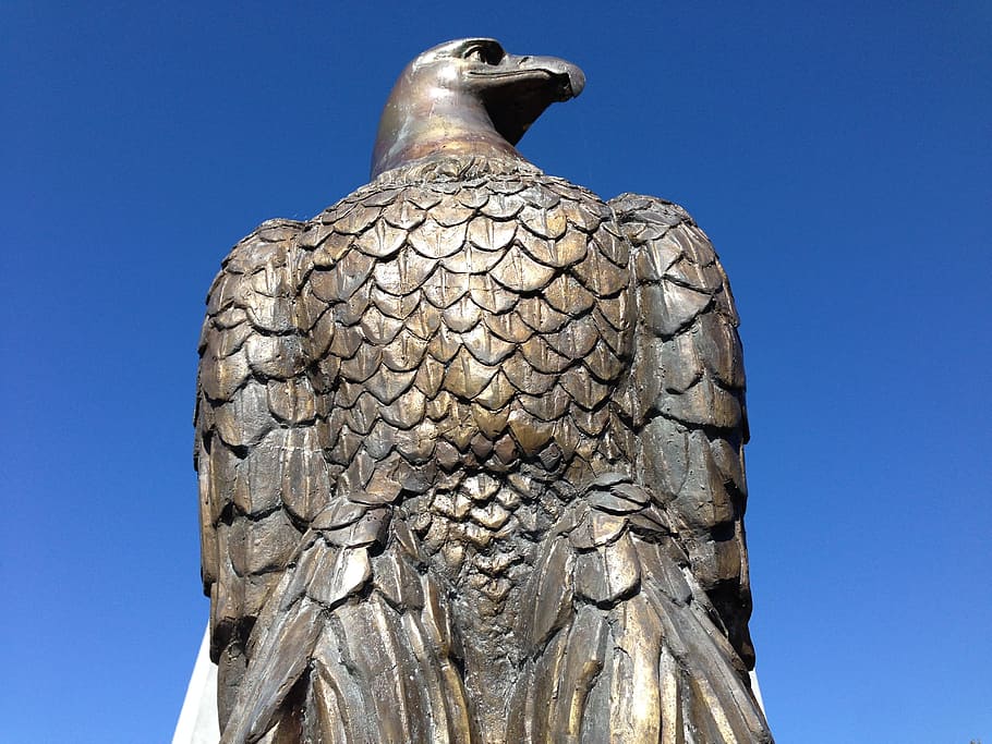 Bald Eagle, Bronze, Freedom, united states, patriotism, american HD wallpaper