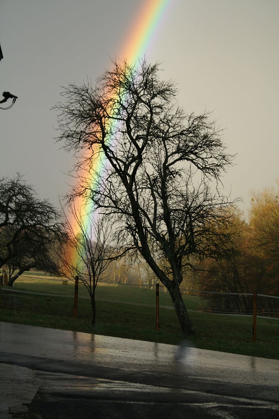rainbow, road, landscape, tree, nature, sky, plant, beauty in nature HD wallpaper