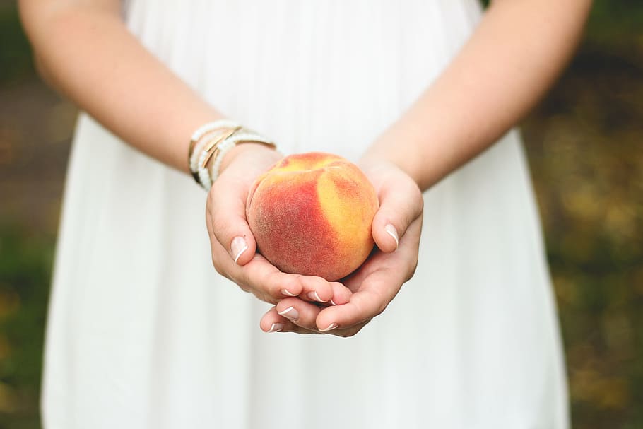 red apple in person's palms, holding, round, yellow, fruit HD wallpaper