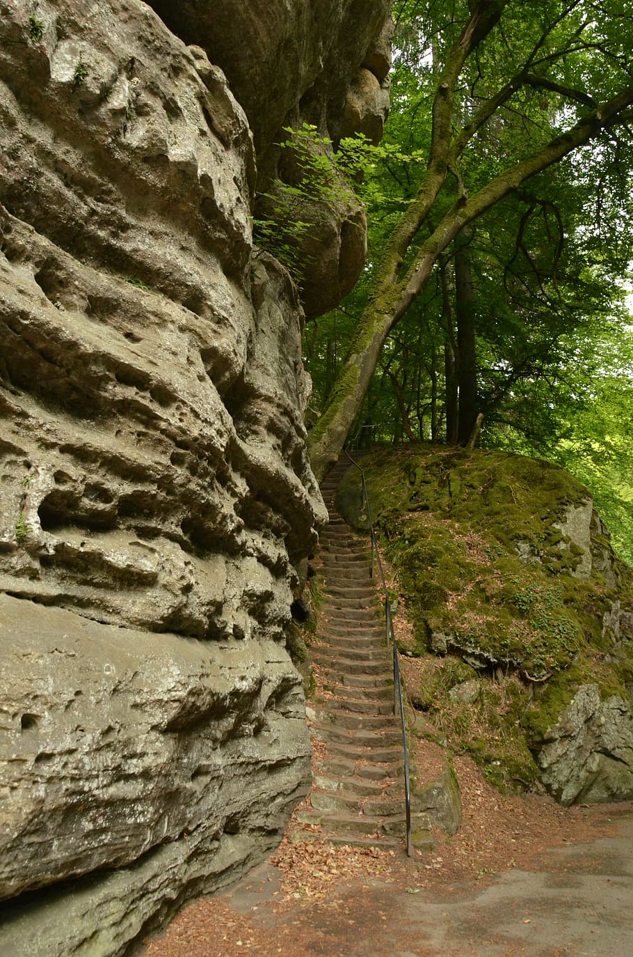rock, trap, forest, dark, height, green, echternach, luxembourg HD wallpaper