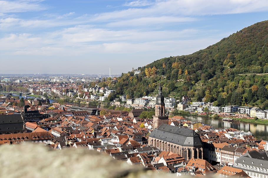 autumn, heidelberg, castle, view, neckar, landscape, home decor