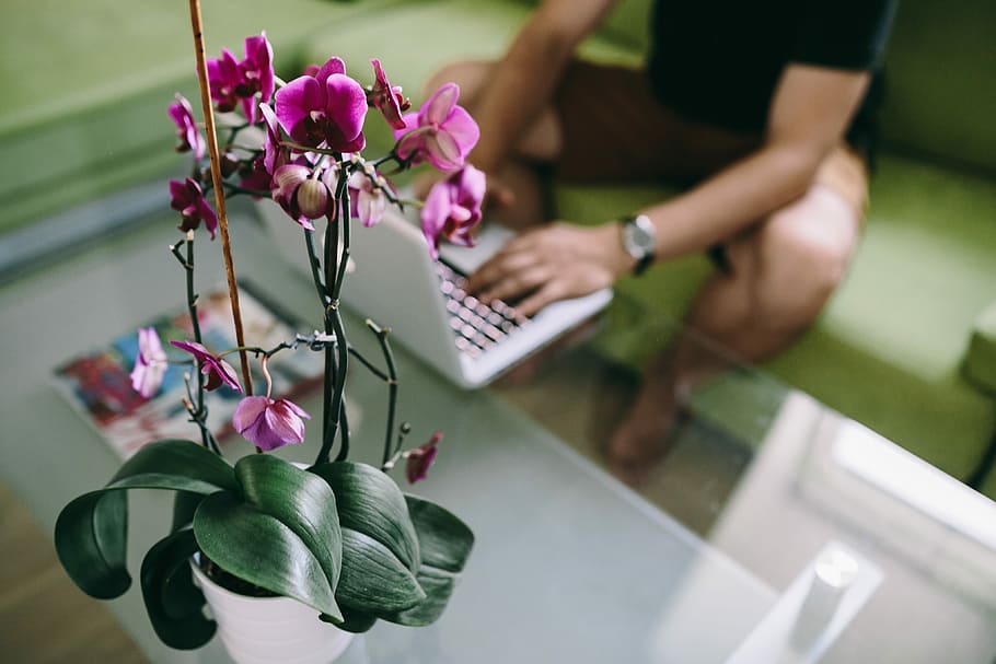 Jezu nie wiem, interior, workspace, workplace, tech, computer HD wallpaper