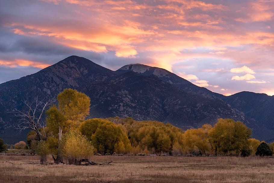 mountain, highland, landscape, trees, grass, sunset, sunrise HD wallpaper