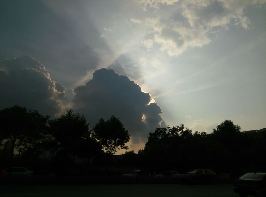 sky, cloud, light and shadow, tree, plant, silhouette, nature HD wallpaper