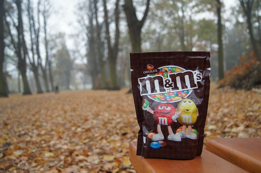 sweets, park, eating, sugar, chocolate, tree, focus on foreground HD wallpaper
