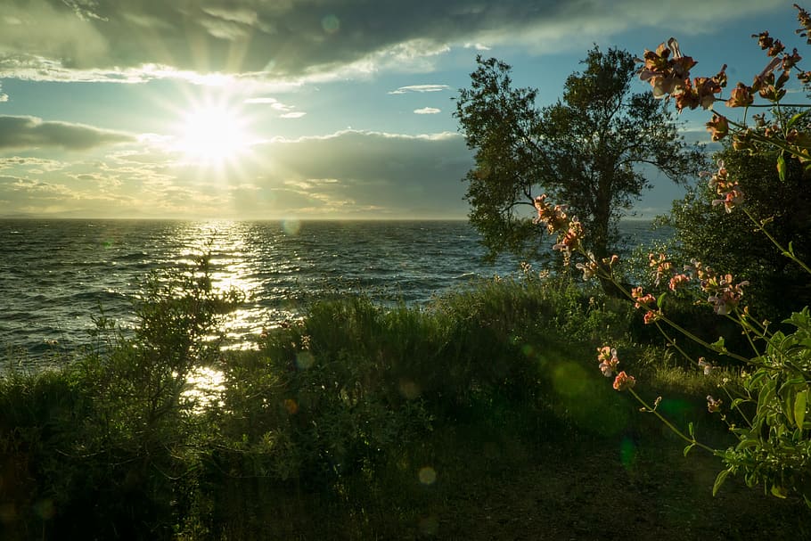 Sun Ray Hitting Body of Water Green Grass Trees White Clouds during Sunrise HD wallpaper