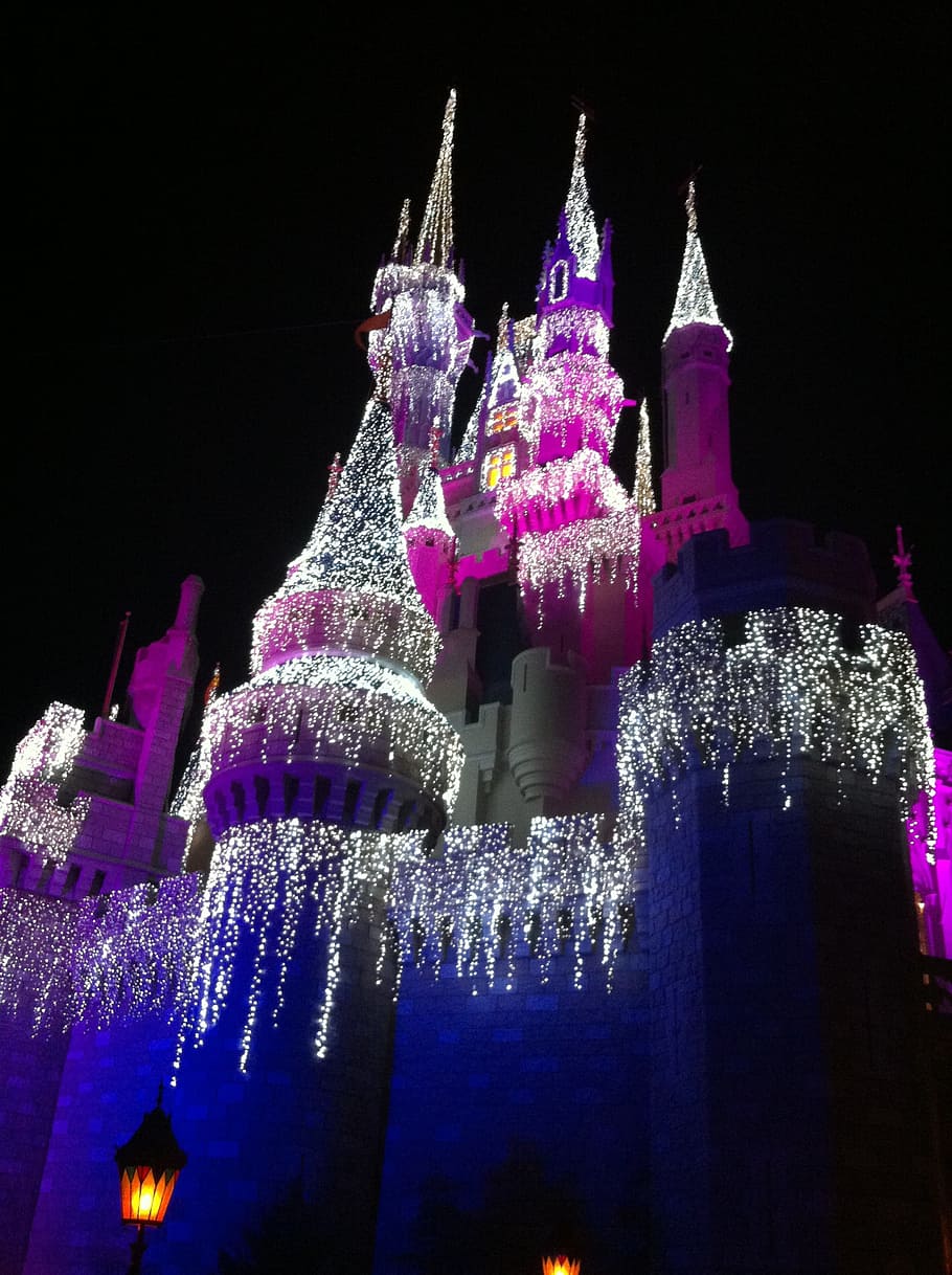 HD wallpaper: Disney Castle during nighttime, disney world, cinderella's castle - Wallpaper Flare